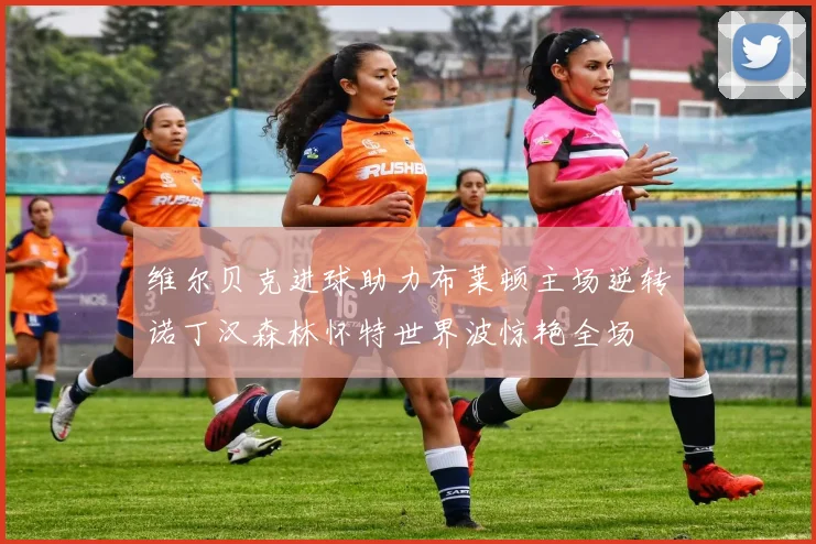 维尔贝克进球助力布莱顿主场逆转诺丁汉森林怀特世界波惊艳全场