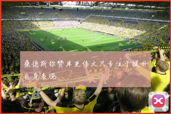 桑德斯称赞库里伟大只专注于提升自身表现