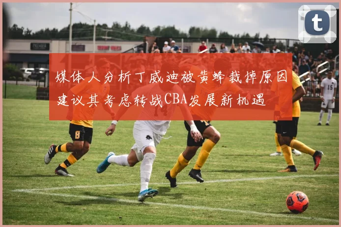 媒体人分析丁威迪被黄蜂裁掉原因建议其考虑转战CBA发展新机遇