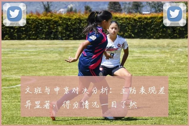 文班与申京对决分析：主防表现差异显著，得分情况一目了然
