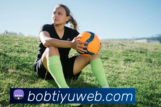 BOB体育平台生态图