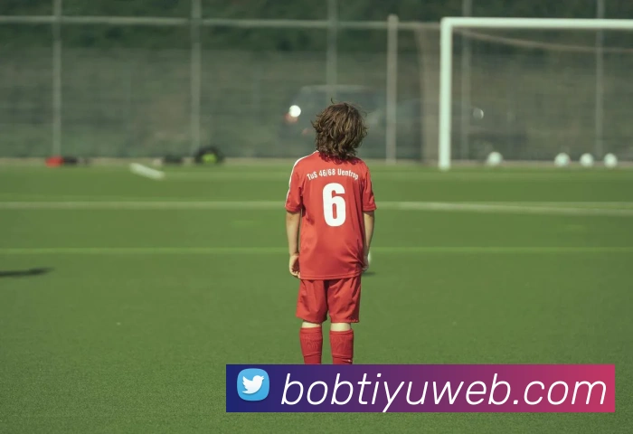 BOB体育APP 封面图