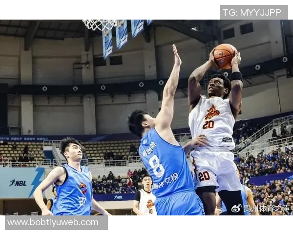 探索贵州猛龙篮球俱乐部的成长与挑战第八期球队巡礼